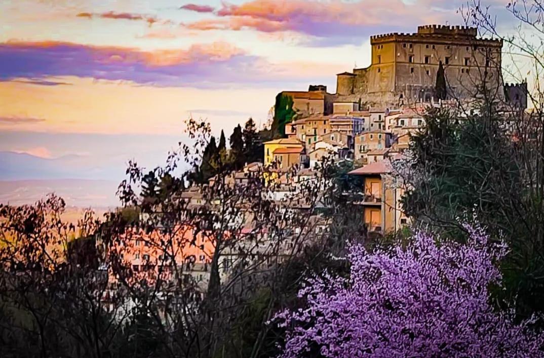 Casa Divitia Appartement Soriano nel Cimino Buitenkant foto